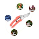 Secateurs Pruning Shears Professional Gardening Pruning Scissors Stainless Steel Blade Bonsai Cutters Anti-Slip Handles Gardening Tool Kit for Plants Rose Flowers Fruit Christmas Tree