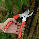 Secateurs Pruning Shears Professional Gardening Pruning Scissors Stainless Steel Blade Bonsai Cutters Anti-Slip Handles Gardening Tool Kit for Plants Rose Flowers Fruit Christmas Tree