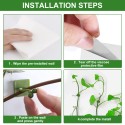 Green Plants Wall-Climbing Holder Self-Adhesive Hook Cirrus Wall Climbing Fixed Hook