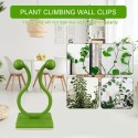 Green Plants Wall-Climbing Holder Self-Adhesive Hook Cirrus Wall Climbing Fixed Hook