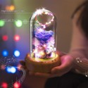 Multifunctional Flower Lamp Rechargeable BT Speaker Music Player Wishing Bottle Preserved Rose in Glass Dome Nightlight Forever Flower Desk Lamp New Year Valentine Mother's Day Birthday Gift for Family Friends Schoolmates