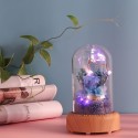 Multifunctional Flower Lamp Rechargeable BT Speaker Music Player Wishing Bottle Preserved Rose in Glass Dome Nightlight Forever Flower Desk Lamp New Year Valentine Mother's Day Birthday Gift for Family Friends Schoolmates