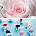 Preserved Real Rose Flower in Clear Box Eternal Rose Scented Forever Rose Flower Present for Women Gifts Mother's Day Valentine Romantic Wedding Home Party Festivals Anniversary Christmas Eve