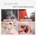 Professional Pet Dog Nail Clipper with Lock Grooming Scissors Nail File 3PCS Pet Tool for Animals Cats