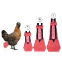 Pet Diapers for Chook Duck Chicken Reusable Chicken Diapers Washable Pet Diapers Bow Tie