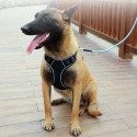 DODOPET Pet Dog Harness No Pull Pet Harness Adjustable Pet Dog Reflective Vest for Dogs
