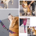 Dog Leash Dog Training Leash with Comfortable Padded Handle for Medium Large Dogs