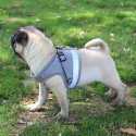 Dog Harness No-Pull Pet Harness Step-in Air Dog Harness, Soft Mesh Cat Harness, Step in Vest Harness Adjustable Outdoor Pet Vest, Reflective Harness for Pet Kitten Puppy Rabbit, (Silver gray,M)