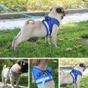 Dog Harness No-Pull Pet Harness Step-in Air Dog Harness, Soft Mesh Cat Harness, Step in Vest Harness Adjustable Outdoor Pet Vest, Reflective Harness for Pet Kitten Puppy Rabbit, (Silver gray,M)