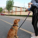 Hands-free Waist Dog Leash with Removable Zipper Pouch Reflective Strap Double Bungee Double Handles Night Running