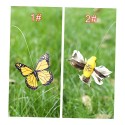 Solar Powered Dancing Fluttering Butterflies Flying Humming Bird Garden Yard Decoration